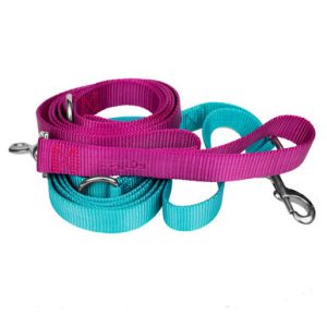Double Handled Nylon Dog Leash
