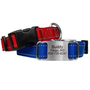 Personalized Reflective Nylon ScruffTag Collar