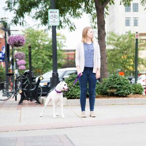 Nylon Traffic Leash