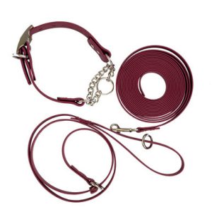 Waterproof Training Pack: Chain Martingale Collar, Slip Lead & Long Line