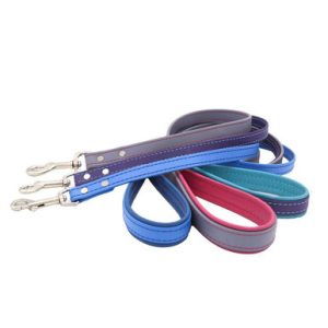 Fusion Padded Handle Dog Leash