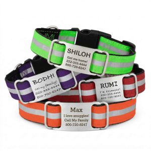 Personalized Reflective Ribbon Nylon ScruffTag Collar