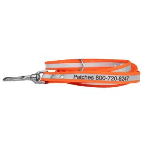 Personalized Reflective Waterproof Dog Leash