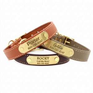 Personalized Waterproof Stitched Standard NamePlate Collar