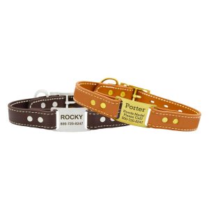 Personalized Waterproof Stitched ScruffTag Collar