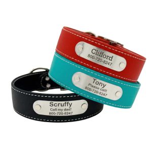 Extra Wide Stitched Waterproof Personalized NamePlate Collar