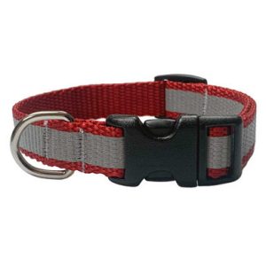 Reflective Red Nylon Collar for Small Dogs