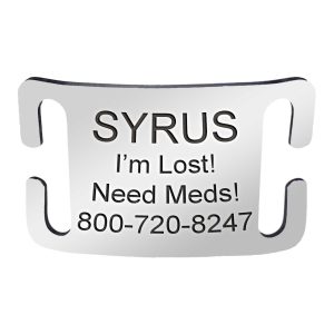 Personalized Open End ScruffTag Slide-On Dog Collar Name Plate