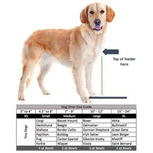 Seesaw Double Elevated Dog Bowls