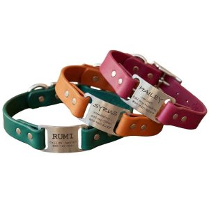 Personalized Waterproof ScruffTag Collar