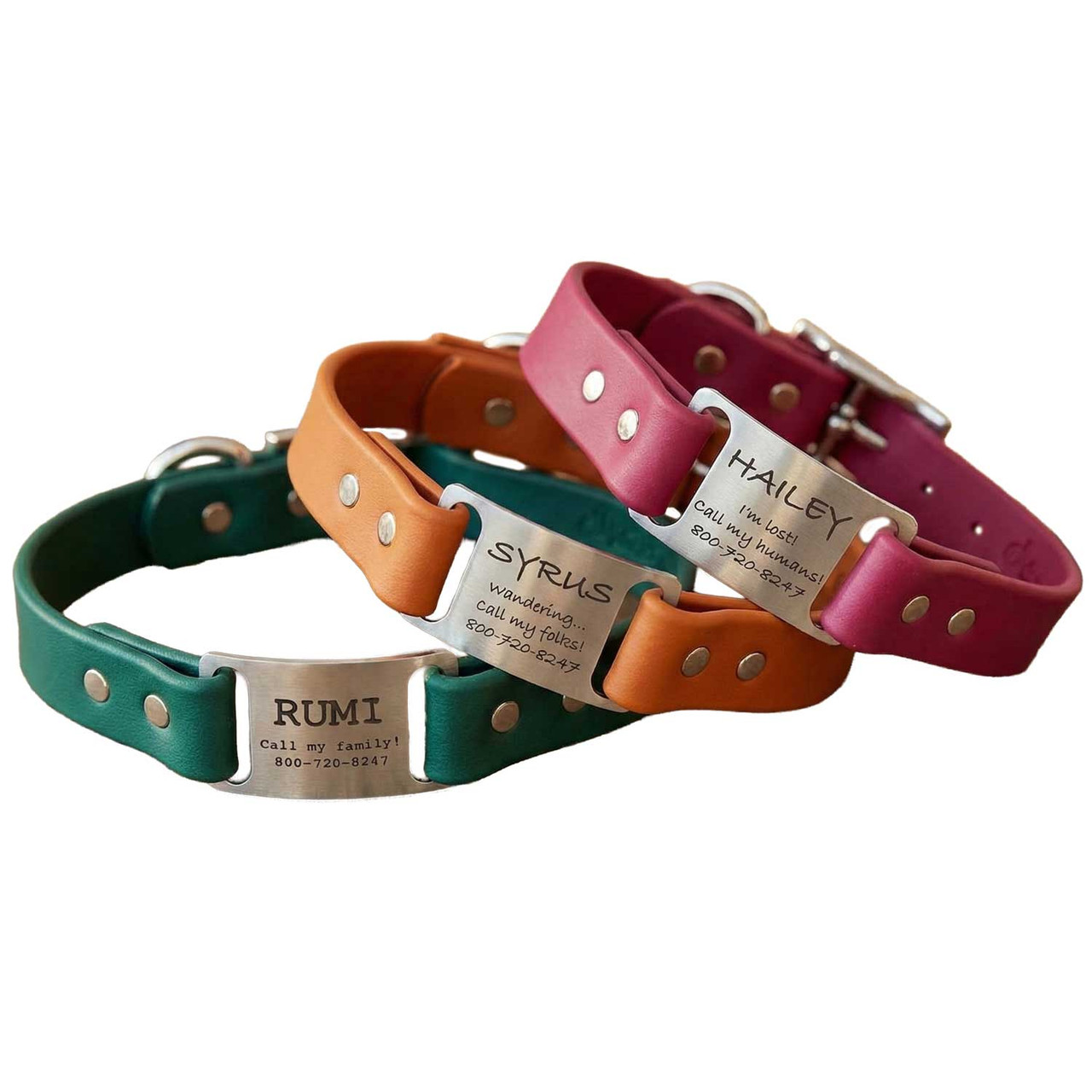 Personalized Waterproof ScruffTag Collar – dogIDs