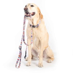 Pendleton Eco-Friendly Adventure Leash