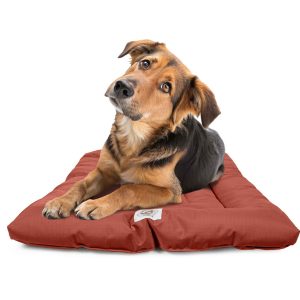 Brutus Tough Chew Resistant Comfort Cushion for Dogs