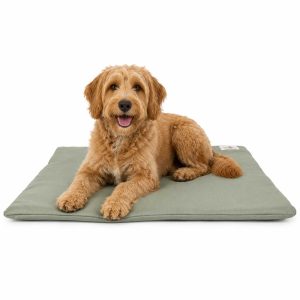 Brutus Tough Chew Resistant Comfort Mat for Dogs