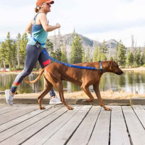 Stunt Runner™ Hands Free Dog Leash