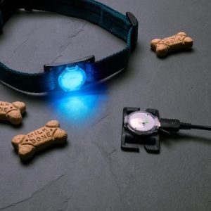 NiteDog Disc-O-Tech Rechargeable LED Slide-On Dog Collar Light