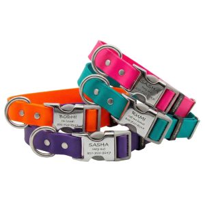 Waterproof Engraved Buckle Collar