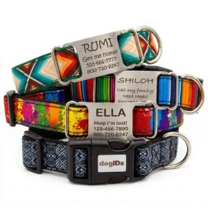 Personalized Designer Nylon ScruffTag Collar