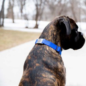 ScruffTag Custom Slide-On Dog Collar Name Plate