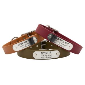 Personalized Waterproof Standard NamePlate Collar