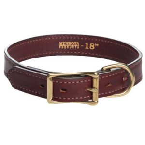 English Bridle Leather Dog Collar