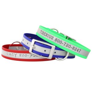 Waterproof Standard Collar with Personalized Reflective Strip
