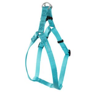Personalized Buckle Step-In Dog Harness