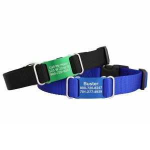 Personalized Color Splash Nylon ScruffTag Collar