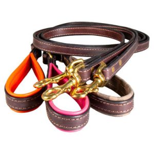 Hornaday English Bridle Leather Padded Handle Leash