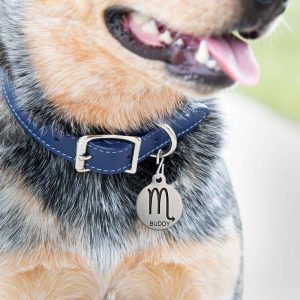 Astrology Themed Round Dog ID Tags - 24 Designs