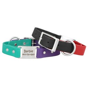 Personalized Two Tone Waterproof ScruffTag Collar