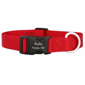 Nylon Custom Engraved Buckle Collar