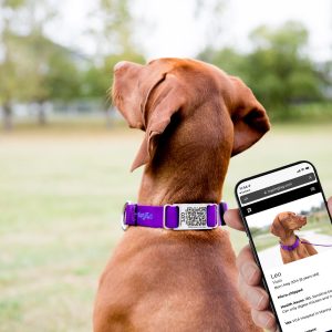 QR Code ScruffTag Slide-On Dog Collar Name Plate