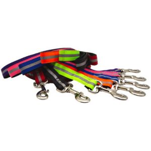 Reflective Ribbon Nylon Dog Leash