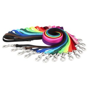 Nylon Dog Leash