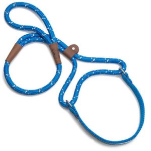 Dog Walker Martingale Leash