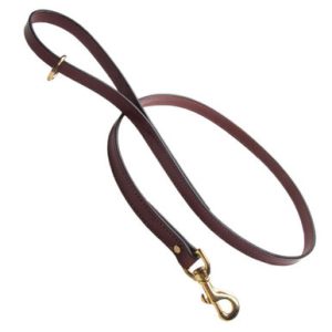 English Bridle Leather Snap Leash